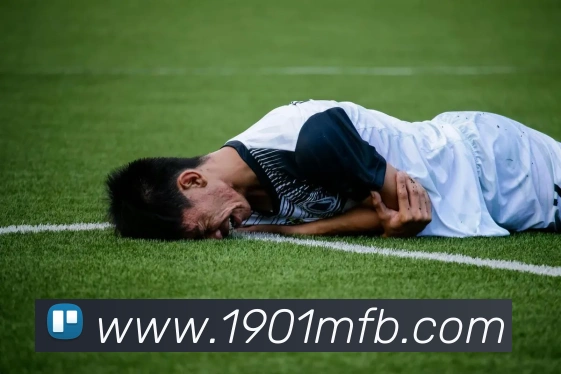 中国NBL积分榜更新 各队排名变化与季后赛竞争态势受关注